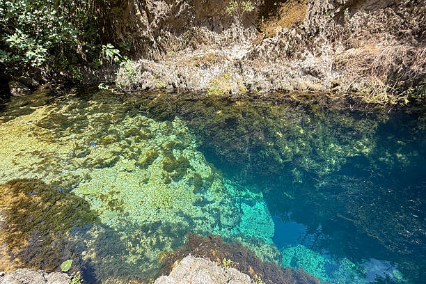 istock Su Cologone Spring, Crystal Clear Karst Water in Sardinia 2225596760
