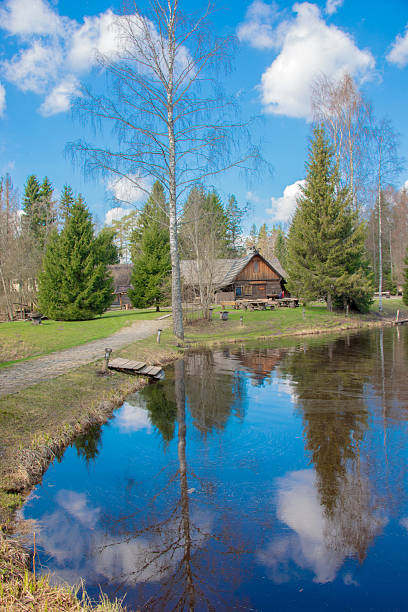 Serene Wooden Cabin Beside a Reflective Pond Surrounded by Lush Trees Under a Blue Sky