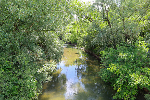 istock In the shade of dense trees, a calm river flows, reflecting the sky and greenery in its waters. This idyllic scene creates a sense of deep tranquility and unity with nature. 2225598698