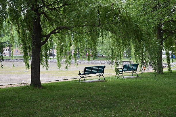 Des bancs au parc, Trois-Rivières, Québec, Canada
