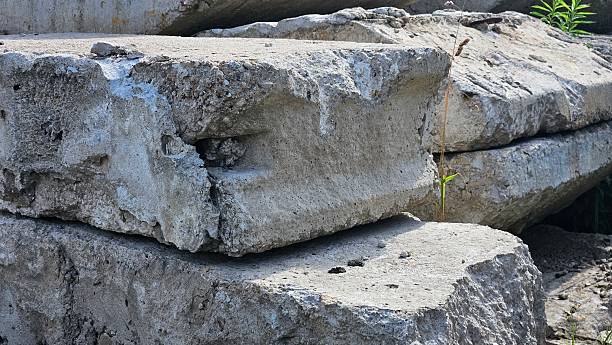 istock Abandoned Concrete Blocks in Overgrown Industrial Site 2225599931