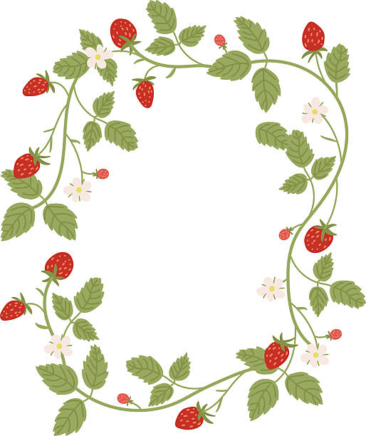480+ Strawberries On Vine Stock Illustrations, Royalty-Free Vector