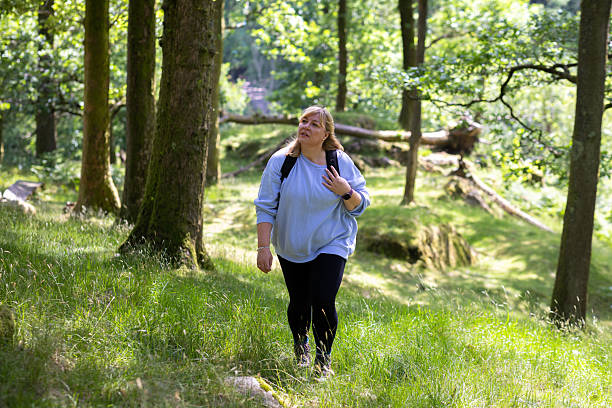 Relaxing Walk in the Woods in Solitude
