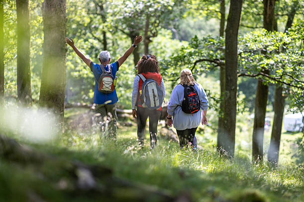 istock Three Friends Walking Through the Woods in a Row 2225606470