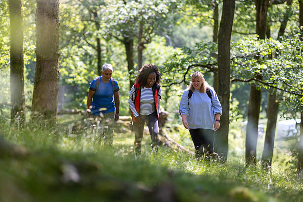 istock Friends Enjoying Catching Up While Hiking 2225606486