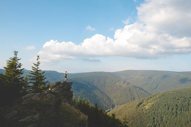 istock A person is standing on a mountain top, looking out over a beautiful landscape 2225610317