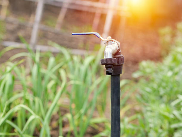 istock Irrigation tap in vegetable garden field 2225613097