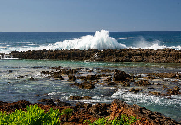 istock Wave Break at Shark's Cove in Oahu 2225615542