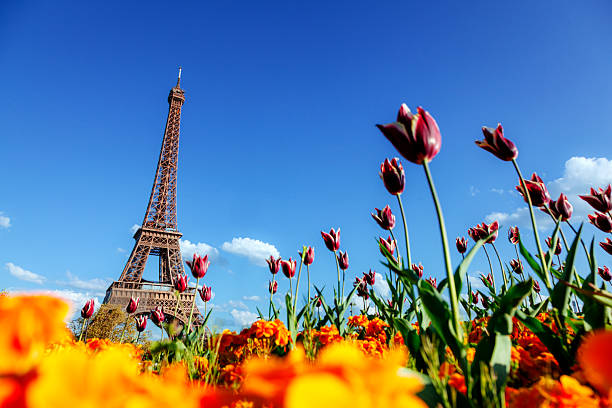 istock The Eiffel Tower Framed by Vibrant Spring Flowers Under a Clear Blue Sky 2225615605