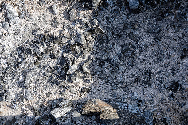 istock Ash and Charred Wood Remains 2225615951