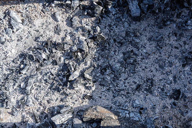 istock Ash and Charred Wood Remains 2225617027