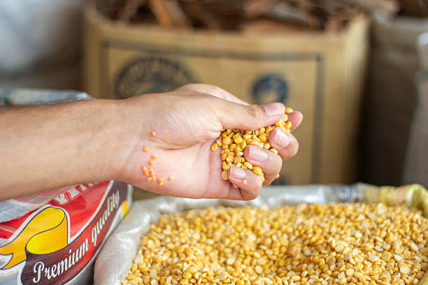 istock A man holds some Lentils in a sack 2225619171