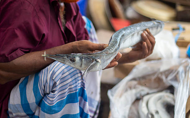 istock A poor boy is holding a fish, and a background blur 2225619777