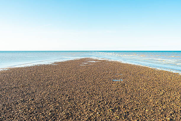 Oyster beds emerging during low tide at whitstable, kent, england, create a unique seascape