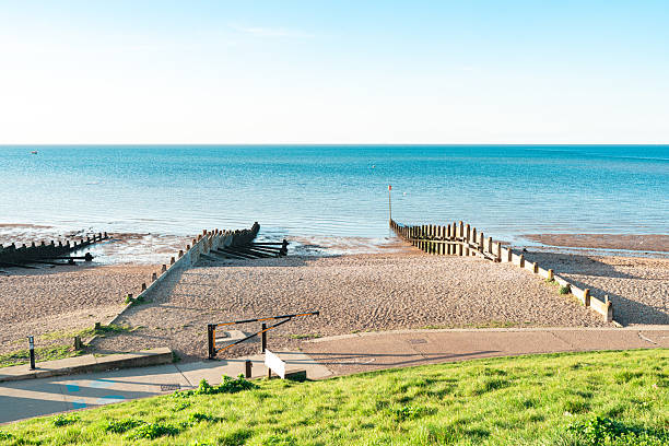 Scenic view of wooden groynes on whitstable beach in kent, england, during a sunny day