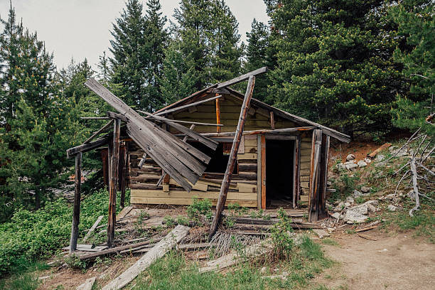A weathered, wooden storefront with multiple tall windows and faded doors stands at the base of a lush, mountainous landscape in Colorado. The faded facade and tilting structure evoke the rustic charm and decay of this once-thriving mining town. Bright sunlight illuminates the textures of the historic building, while the green pine-covered mountains rise in the background beneath a vibrant blue sky.