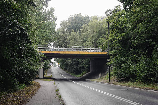 istock Empty road with overpass bridge. Asphalt street through forest. Green trees on both sides. Urban infrastructure in summer. 2225623942