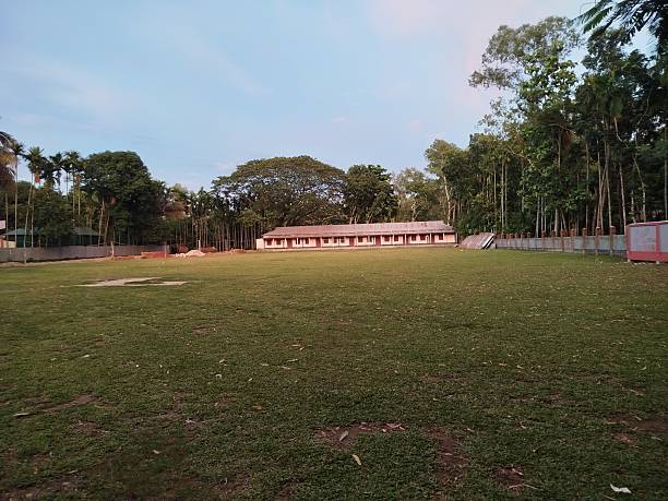 Open Meadow with a Small House Ahead – Peaceful Countryside View