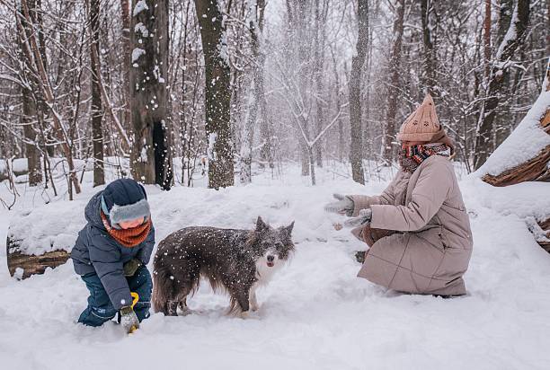 istock mother, son and dog playing in winter forest 2225625289