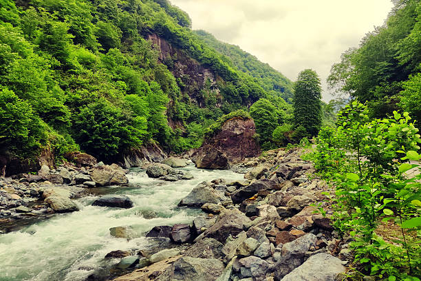 istock Dynamic wide shot of a powerful river carving its way through a lush. 2225625755