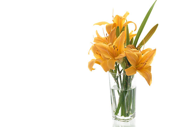 Fresh bouquet of orange lilies isolated on white.