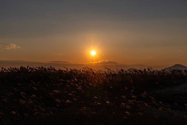 tranquil landscape