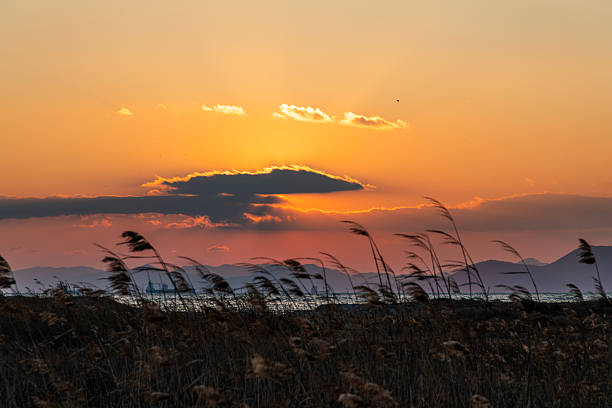 tranquil landscape