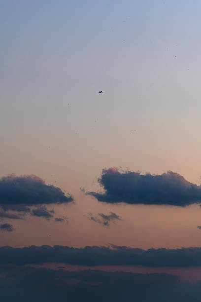 istock airplane flying in the sunset sky 2225627568