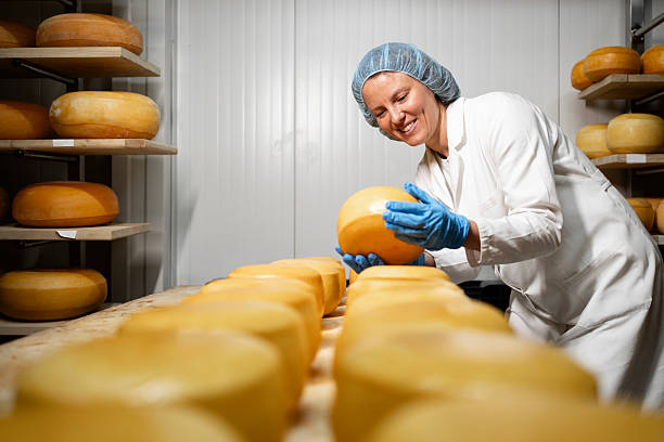 istock Making delicious cheese with love. 2225630387