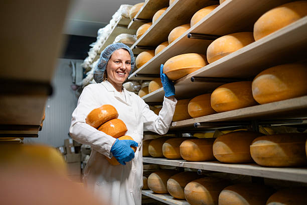 istock Cheese factory worker sorting dairy products on shelves. 2225630421