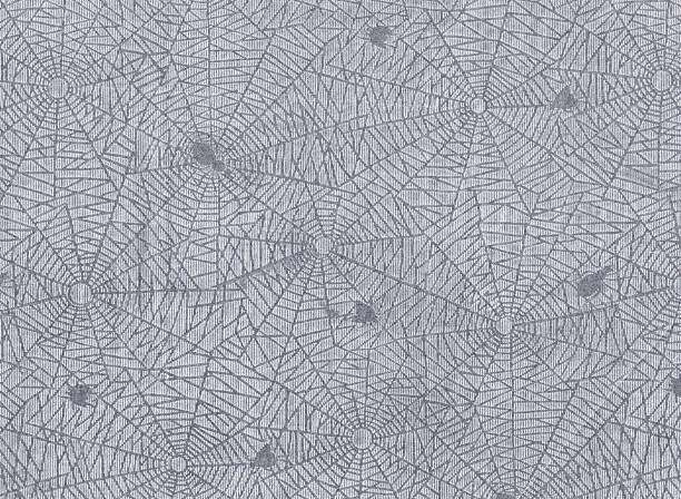 Texture features an intricate pattern resembling a spider web, creating an abstract, geometric design. Radiating lines and concentric circles intersect, forming a detailed lattice. The background is a neutral grey.