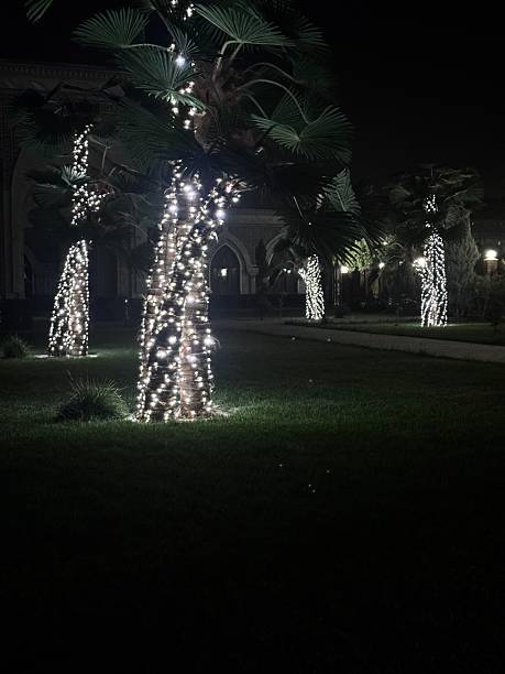 istock Trees decorated with garland view at night 2225635822