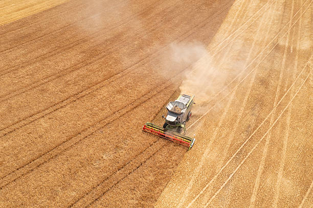 istock Combine harvester in wheat field 2225635920