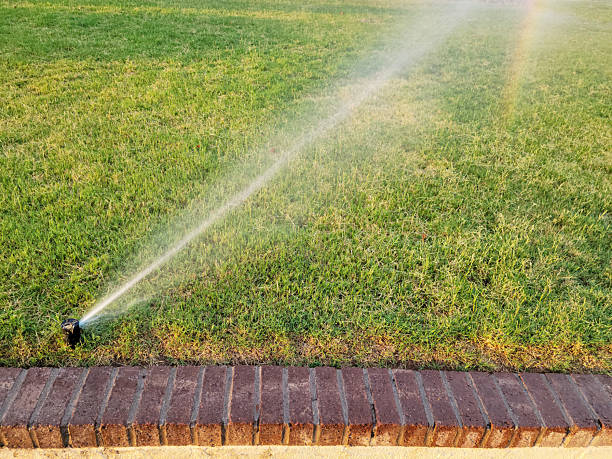 istock Water Sprinkler and Rainbow over Green Lawn 2225636033
