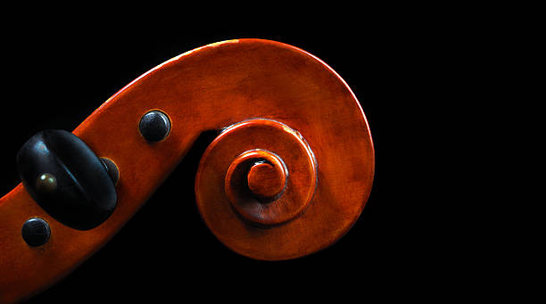 istock violin neck isolated on black. copy space 2225636176