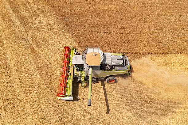 istock Combine harvester in wheat field 2225636643
