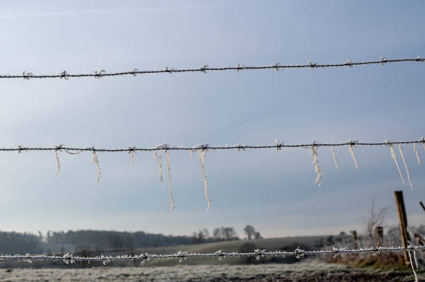 Snow-covered barbed wire fence in winter with sky