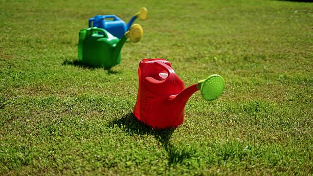 istock Watering Cans on a Green Lawn 2225640575