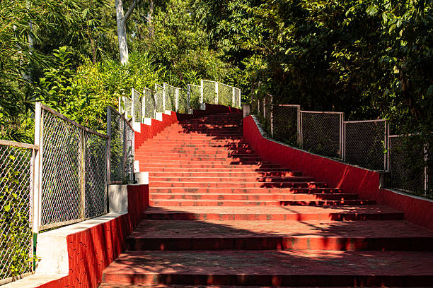 istock Forest Walk with Red Climbing Stairs in Sunlight. 2225642283