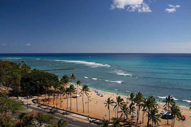 istock Waikiki beach with palm trees and breaking waves 2225643108