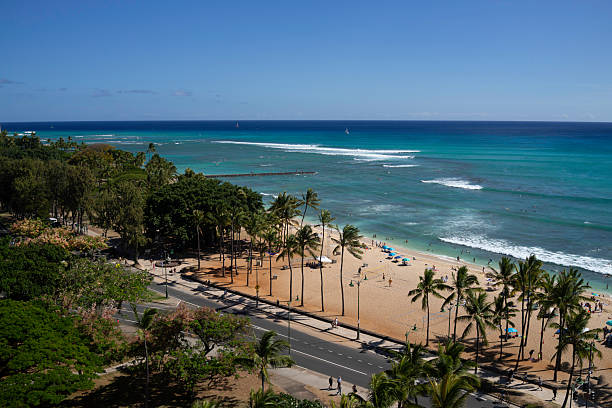 istock Waikiki beach with palm trees and breaking waves 2225643119