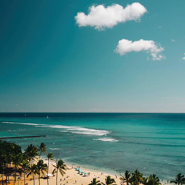 Waikiki beach in Hawaii with white sand and turquoise water lined with palm trees. In the distance are breaking waves