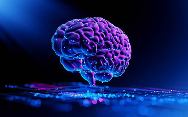 istock Human Brain - Futuristic Concept of Intelligence, science and mind 2225643261