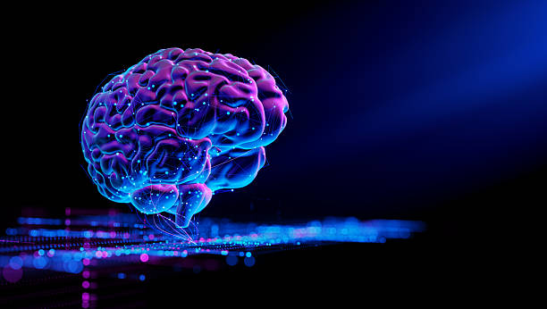 istock Human Brain - Futuristic Concept of Intelligence, science and mind 2225643376