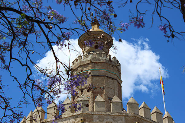 One of the towers of the Plaza de España emerges behind the tiled rooftops of the Palacio de San Telmo