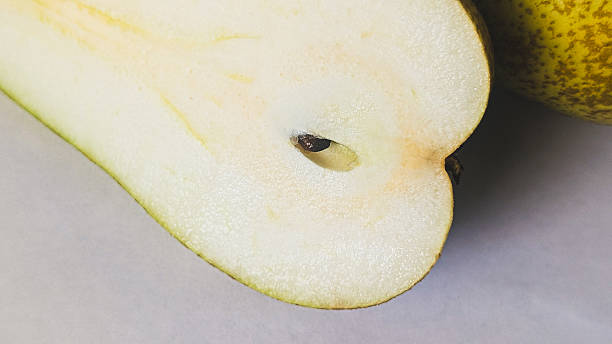 istock Horizontal photo of a fresh green pear placed on a clean surface 2225649725