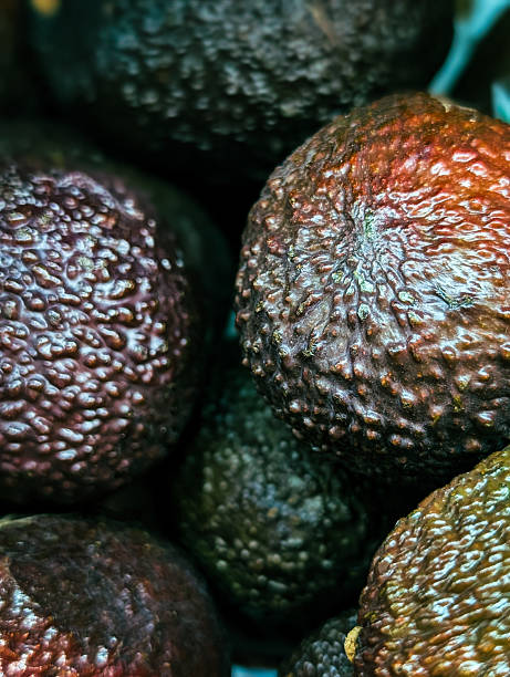 istock Vertical photo of fresh ripe avocado 2225649761