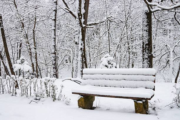 Empty bench  covered in snow in the pak on a winter day