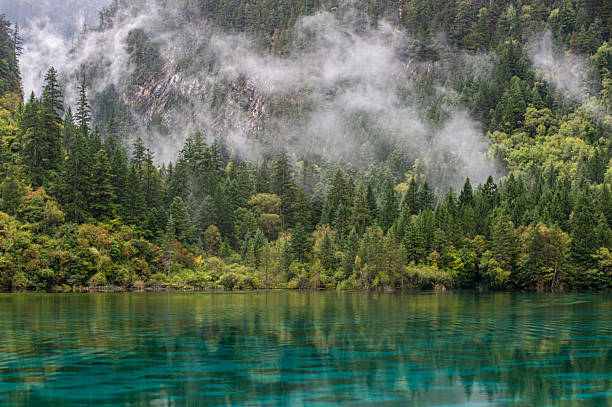 istock Misty Forest Reflections in Jiuzhaigou, Sichuan, China 2225651520