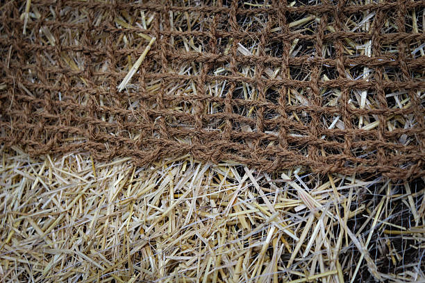 istock erosion control blankets meeting and overlapping on soil with copy space. 2225651645
